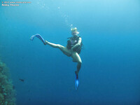Nikky Thorne Skinny Dipping
