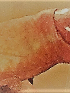 Amateur-Bilder gemischt von meinem harten Schwanz stehend.